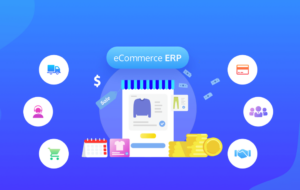 ERP Ecommerce